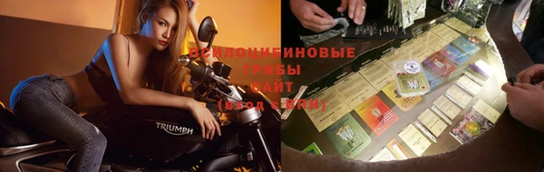 Альфа ПВП Каменск-Шахтинский