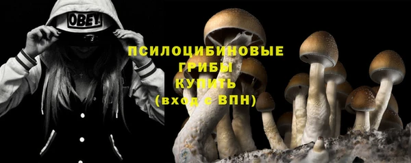 кокаин Каменка