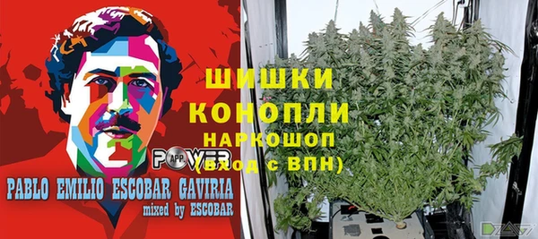 кокаин Каменка