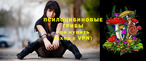 Альфа ПВП Каменск-Шахтинский