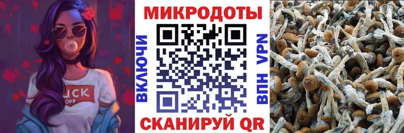 Псилоцибиновые грибы GOLDEN TEACHER  Слободской 