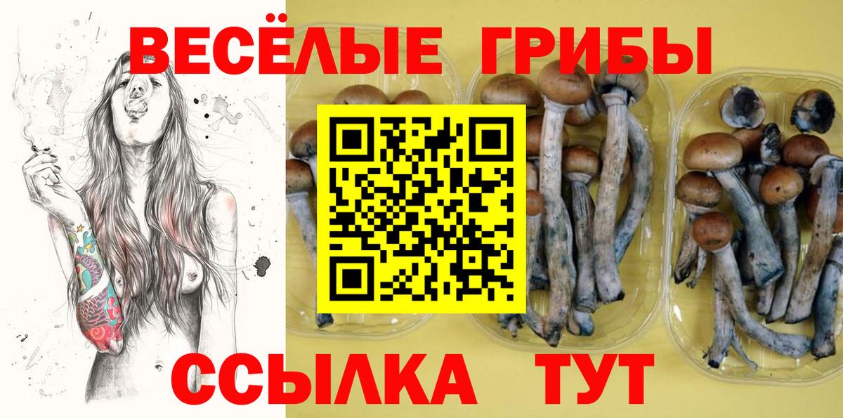 Слободской  Галлюциногенные грибы Psilocybine cubensis  Вход с VPN  Псилоцибиновые грибы MAGIC MUSHROOMS 