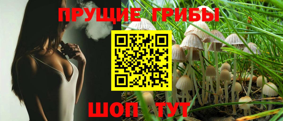 Псилоцибиновые грибы мухоморы Слободской